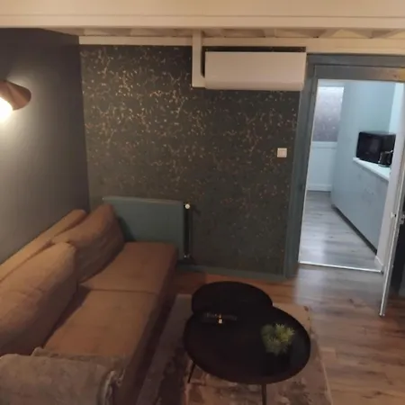 Duplex Viennois Apartment Vienne (Isere)
