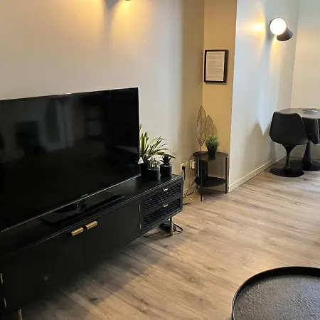 Apartment Duplex Viennois Vienne (Isere)